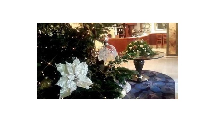 Best Western Plus Park Hotel Brussels poza 12