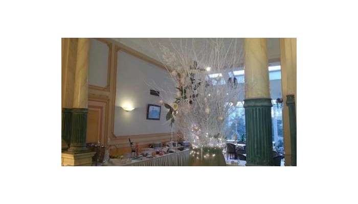 Best Western Plus Park Hotel Brussels poza 19