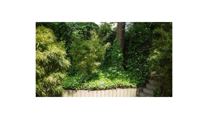 Hotel Du Congres poza 20