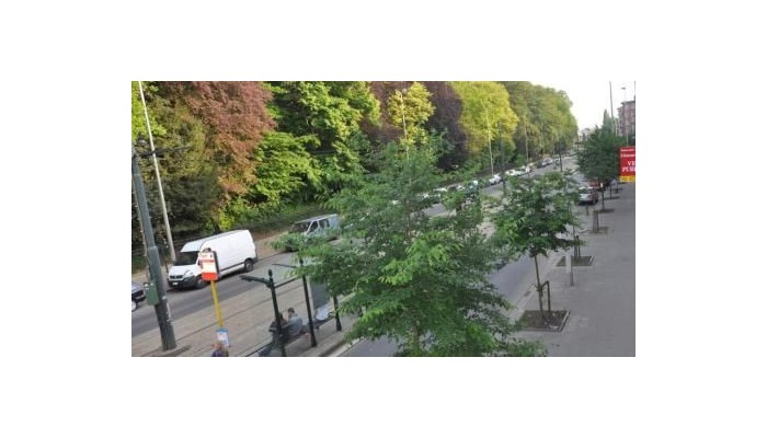 Poza pentru Hotel Le Centenaire Brussels Expo 549-1473368856 Hotel Le Centenaire Brussels Expo poza 27