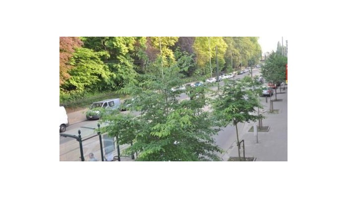Poza pentru Hotel Le Centenaire Brussels Expo 807-1473368858 Hotel Le Centenaire Brussels Expo poza 31