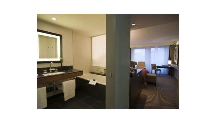 Poza pentru Hotel Sofitel Brussels Europe 802-1469234179 Hotel Sofitel Brussels Europe poza 18